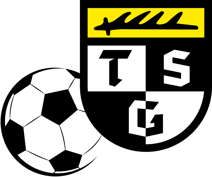 tsg fussball logo